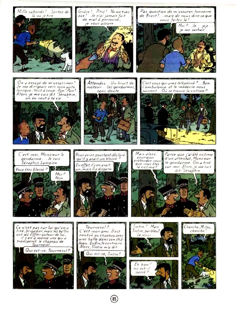 Tintin, L’affaire Tournesol, p. 8
